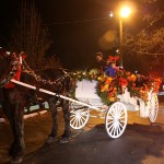 The Percheron's name is "Sonny" and the carriage was driven by Don Veith.
