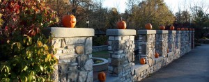 Pumpkin Wall