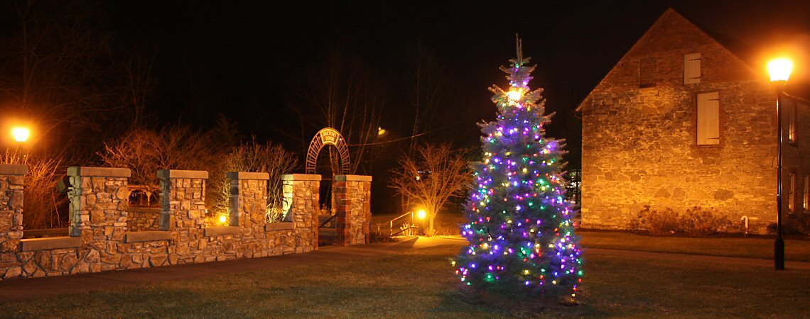 Christmas Tree at Mill Park