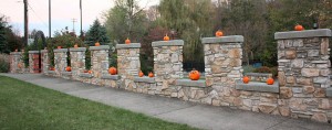 pumpkin-wall